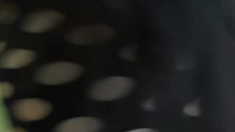 cattleyascaly online show from 09-25-25, 07:39