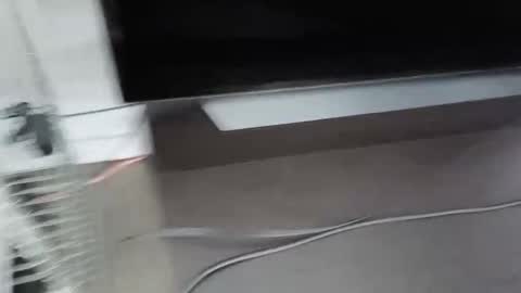 Snapshot of cbg65 chatting on 02-04-26, 10:47 cbg65 online show from 02-04-26, 10:47