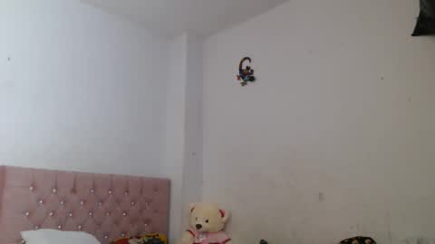 Snapshot of ccamilo_ chatting on 06-09-26, 01:23 camilo online show from 06-09-26, 01:23
