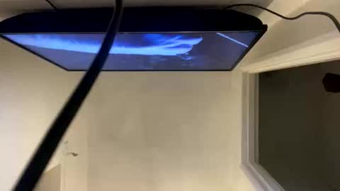 ccsexycam online show from 04-10-26, 01:00