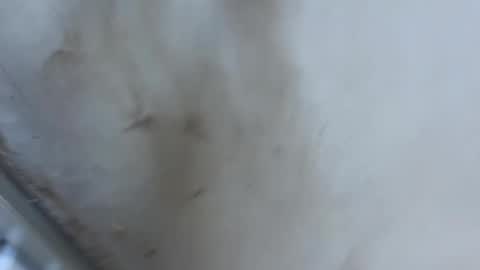 ccwwa01 online show from 05-08-26, 06:52