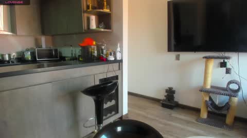 mia  sofiabohorquez INSTAGRAM online show from 01-15-25, 06:51