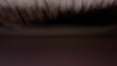 cenobitfor online show from 03-06-26, 11:28