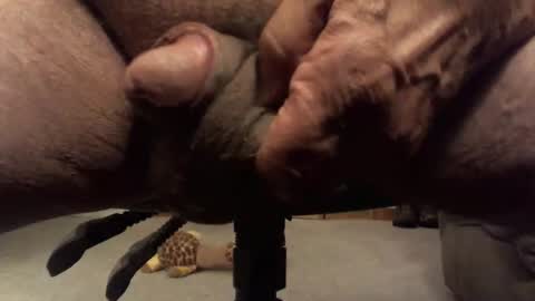 centaur629 online show from 02-13-26, 02:40