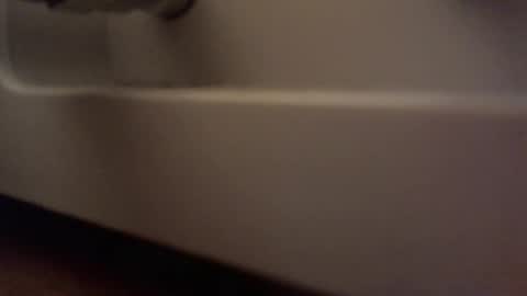 Snapshot of centaur629 chatting on 05-09-26, 12:10 centaur629 online show from 05-09-26, 12:10