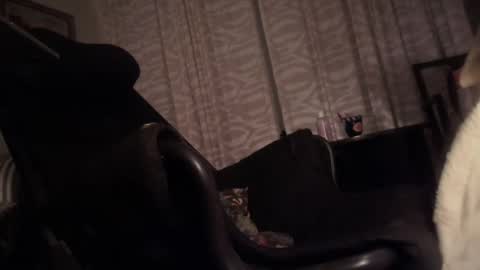 Snapshot of cfnmfriendly chatting on 10-23-25, 04:06 cfnmfriendly online show from 10-23-25, 04:06