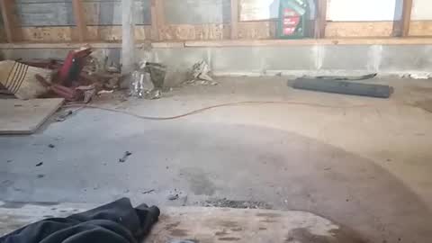 chadr1616 online show from 11-15-25, 03:52