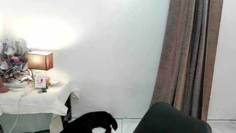 chakadal_xx online show from 11-20-25, 06:46