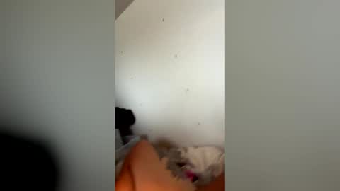 charl41209136 online show from 04-02-26, 07:33