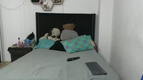 Snapshot of charlotte_027 chatting on 01-15-25, 02:49 charlotte_027 online show from 01-15-25, 02:49