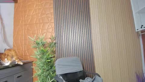 Charlotte  Everyday From 0700 to 1300 Col Time online show from 02-17-25, 11:02