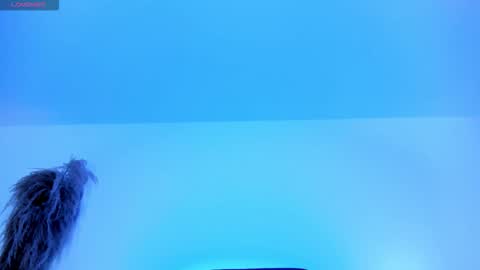 Charlotte  Everyday From 0700 to 1300 Col Time online show from 10-12-25, 11:53