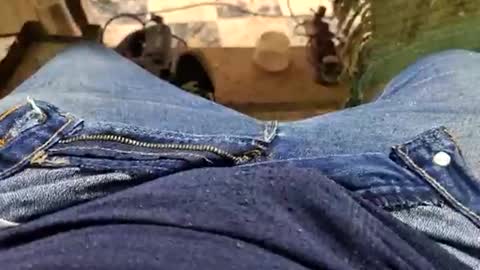 Snapshot of charly2289 chatting on 09-14-25, 01:32 Parcero online show from 09-14-25, 01:32