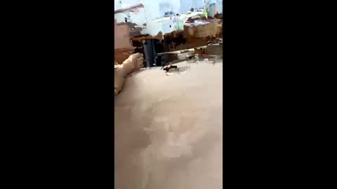 Snapshot of chasejase20333 chatting on 12-16-24, 07:37 chasejase20333 online show from 12-16-24, 07:37