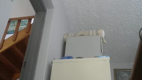 Snapshot of chaturbatordeluxe chatting on 02-22-25, 02:52 chaturbatordeluxe online show from 02-22-25, 02:52