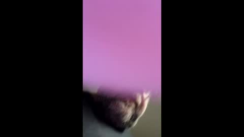 chef4u13 online show from 04-25-26, 09:01