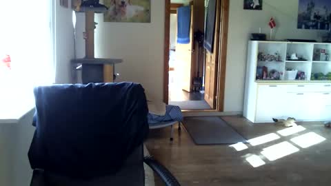 Snapshot of chefben666 chatting on 10-16-25, 10:27 chefben666 online show from 10-16-25, 10:27