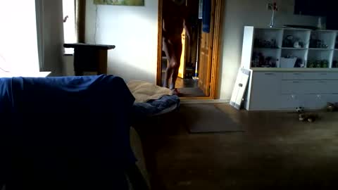 Snapshot of chefben666 chatting on 02-14-26, 11:29 chefben666 online show from 02-14-26, 11:29