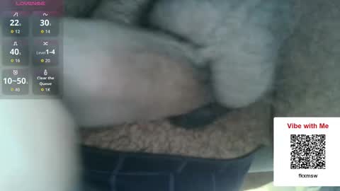 Fun With Daddys Dick Fantacy Room online show from 12-17-25, 05:19