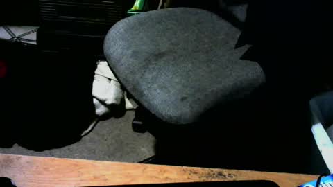 Snapshot of chefy999 chatting on 01-13-25, 10:47 chefy online show from 01-13-25, 10:47