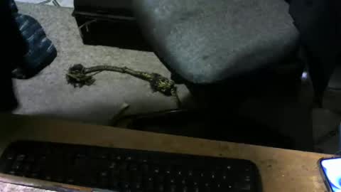 chefy online show from 11-10-25, 10:14