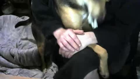 chefy online show from 02-19-26, 09:38