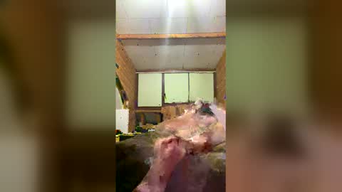 chzljqzbysno online show from 01-14-26, 12:22