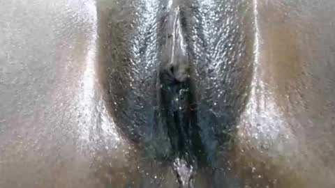 ciarabooty online show from 05-26-26, 07:54