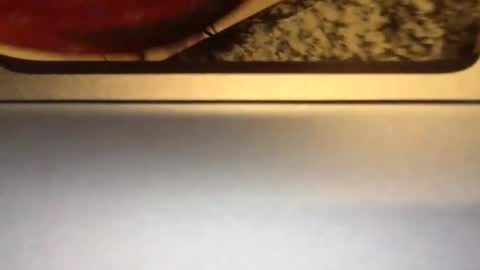 Carlee  carleegracexxx online show from 04-05-26, 05:37