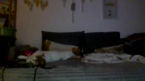 ciasnsyrize1996 online show from 03-04-25, 09:54