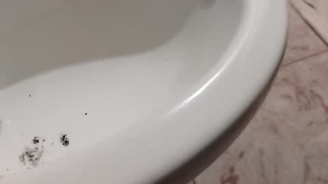 Snapshot of ciccilli chatting on 11-01-25, 10:23 ciccilli online show from 11-01-25, 10:23