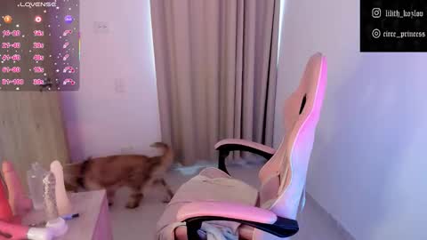 Paulina online show from 11-17-25, 09:31