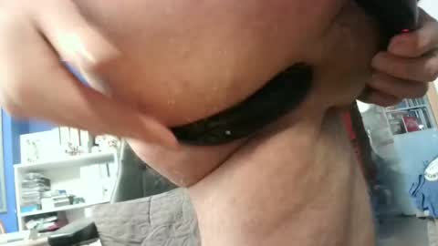 Circus Bear online show from 01-29-25, 03:58