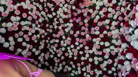 Clara  online show from 12-23-24, 06:44