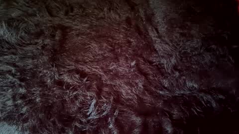 clydeninethousand online show from 09-20-25, 04:52