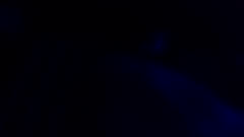 Cocolino  online show from 05-07-26, 08:36