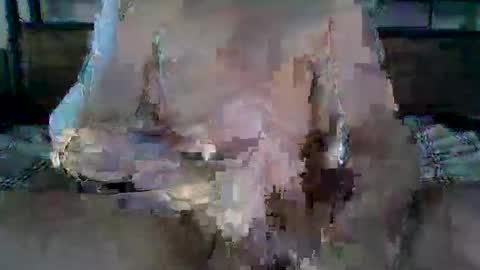 Ethan Slade online show from 04-19-26, 11:18