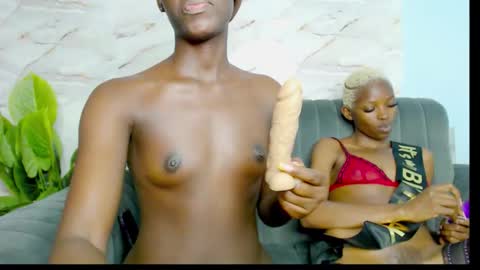 Snapshot of cocoakitty1 chatting on 09-23-25, 01:08 daniella online show from 09-23-25, 01:08