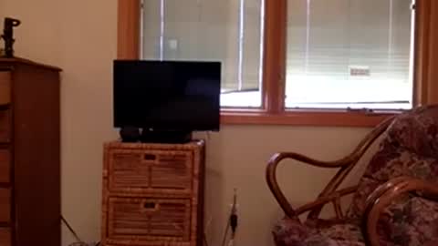 Snapshot of codebynova chatting on 11-08-25, 07:56 Code By Nova online show from 11-08-25, 07:56