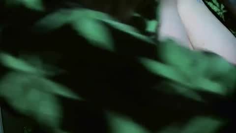 TheGoddessCodie online show from 12-29-24, 08:26