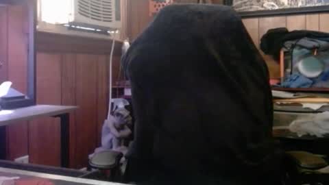 Nelson or ComicKing and sometime Peachy143 online show from 03-08-26, 01:59