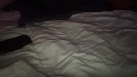 concretecarpenter online show from 11-09-25, 08:12