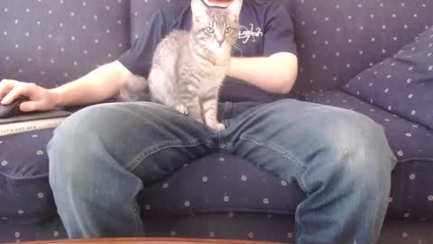 copper_crotch online show from 02-14-26, 10:28