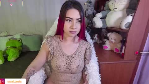 Snapshot of coralwells chatting on 11-08-25, 09:13 coralwells online show from 11-08-25, 09:13