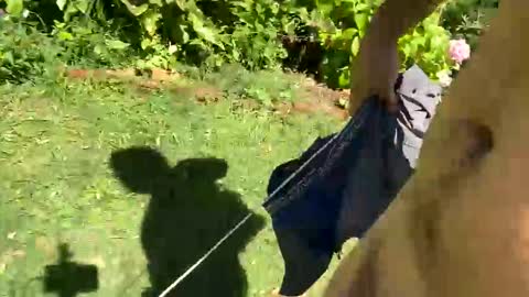 Countrydilf online show from 01-06-25, 02:25