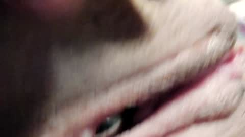 Snapshot of courtney_luv chatting on 01-30-25, 03:40 Im Courtney Nice to meet youFollow meInstagram courtneyluv778 online show from 01-30-25, 03:40