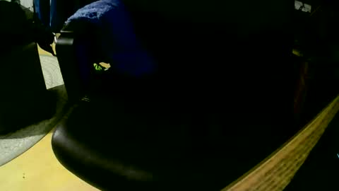 coyote017 online show from 11-01-25, 07:49