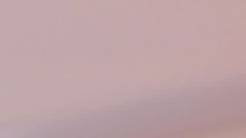 Caro  Andrew online show from 01-27-25, 05:58