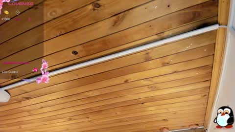 Cristal online show from 02-10-26, 04:05