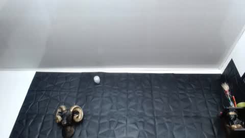 Snapshot of cristal_smith06 chatting on 02-26-26, 10:25 Hanna online show from 02-26-26, 10:25